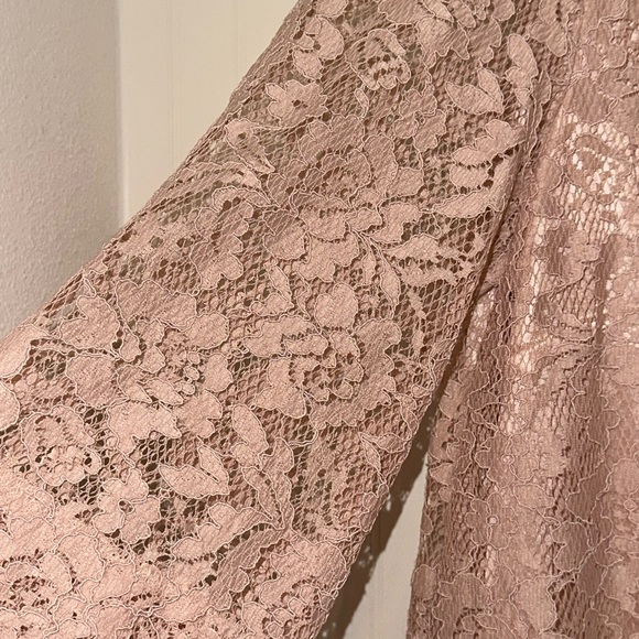 Fossil Nude Lace Shift Dress - Picture 5 of 6